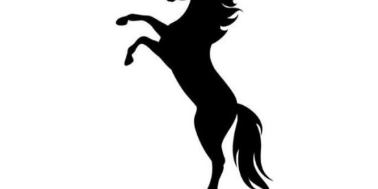 Imagem do grupo de WhatsApp RALPH LAUREN