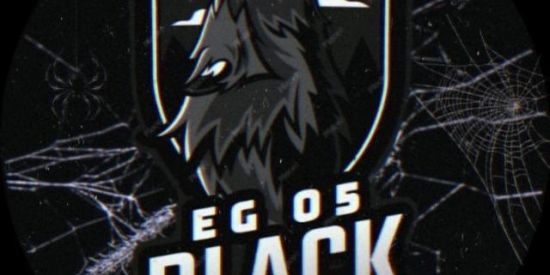 Imagem do grupo de WhatsApp 🖤 TRIAGEM BLACK 🖤