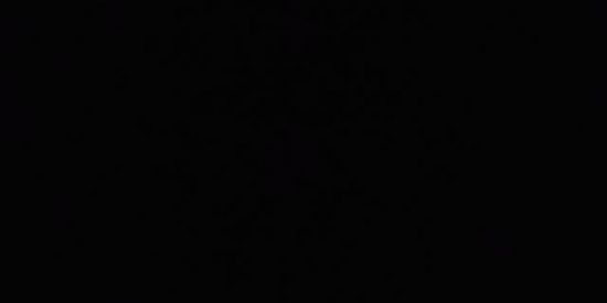 Imagem do grupo de WhatsApp Diario dos prç🥇🏆