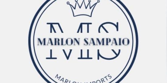 Imagem do grupo de WhatsApp ⚜️MS IMPORTS⚜️SEGUIDORES/FF