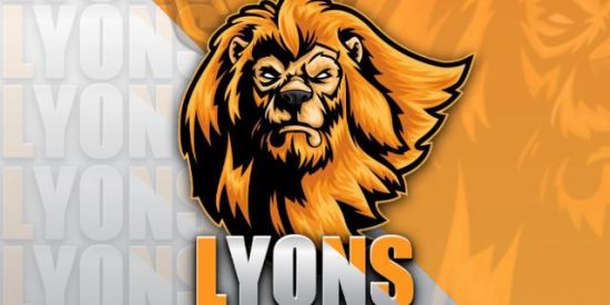 Imagem do grupo de WhatsApp 🧡Diário Lyons🧡