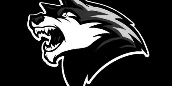 Imagem do grupo de WhatsApp !ŁØ$   ƤŁǤ 亗