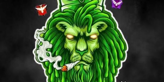 Imagem do grupo de WhatsApp GOLD SPORT guilda ff