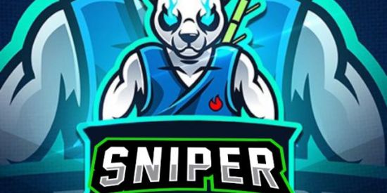 Imagem do grupo de WhatsApp SNIPER CAMP✅️