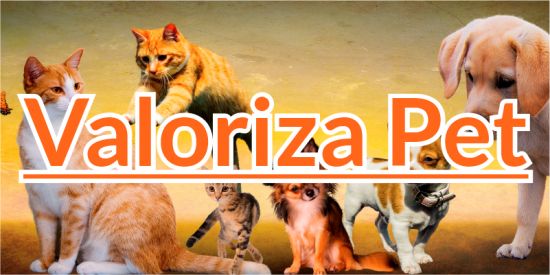 Imagem do grupo de WhatsApp Valoriza Pet