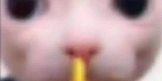 Imagem do grupo de WhatsApp Web namoro/amizades ❤️‍🔥