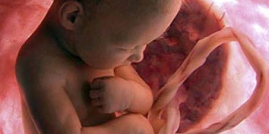 Imagem do grupo de WhatsApp Mamães 2023🤰