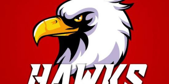 Imagem do grupo de WhatsApp HﾠɅﾠWﾠKﾠS   FF