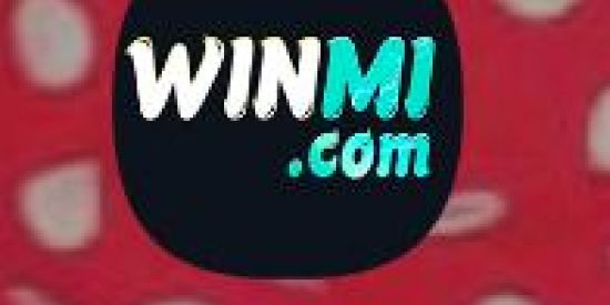 Imagem do grupo de WhatsApp Winmi.com🥳