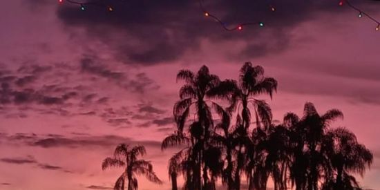 Imagem do grupo de WhatsApp Amizade ou namoro 💍❤️