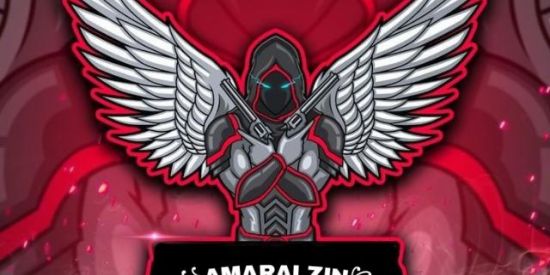 Imagem do grupo de WhatsApp Guilda  ꧁AMARALZIN꧂