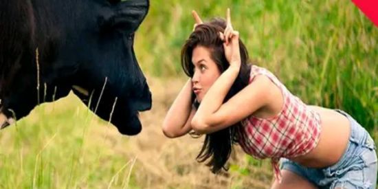 Imagem do grupo de WhatsApp AÇOUGUE 🐂