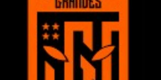 Imagem do grupo de WhatsApp MINECRAFT PE 0.15.10