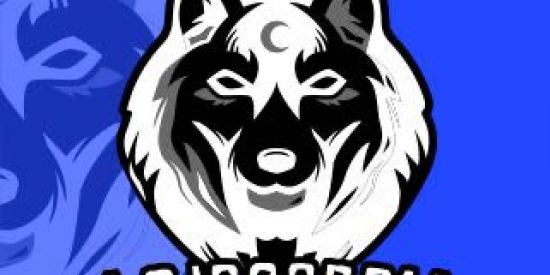 Imagem do grupo de WhatsApp Comprar Seguidores Brasileiros