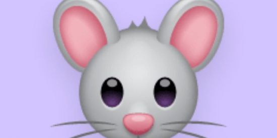 Imagem do grupo de WhatsApp PE$O NAO TONELADA 💥🐭👿