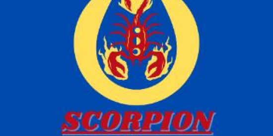 Imagem do grupo de WhatsApp ♾️ SCORPION PRODUTOS & SERVIÇOS ♾️