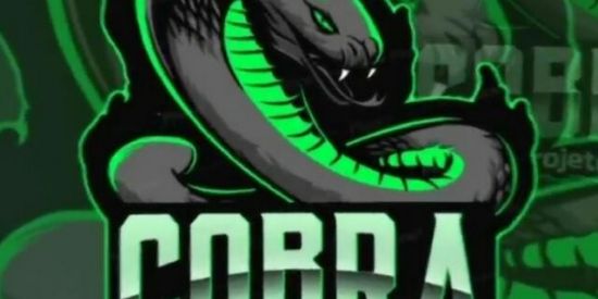 Imagem do grupo de WhatsApp 『⚡』TRIAGEM PROJETO ♚CBR♚🐍