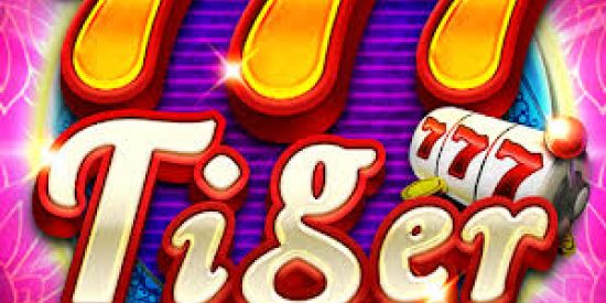 Imagem do grupo de WhatsApp Trigre777