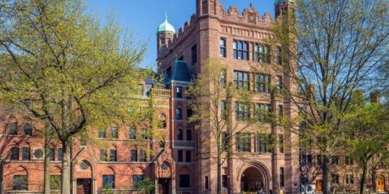 Imagem do grupo de WhatsApp ─ 𝔼𝕝𝕚𝕥𝕖 𝕎𝕒𝕪 ֺᵒᶠᶠ ׅ 📚.˚ ｡