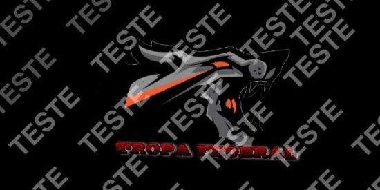 Imagem do grupo de WhatsApp TROPA FEDERAL \Testes /