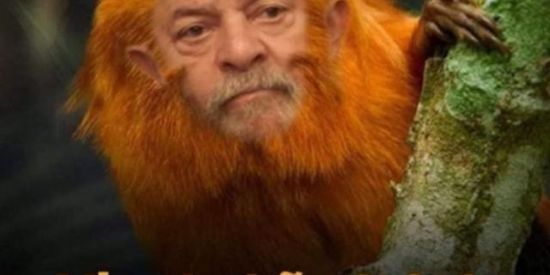 Imagem do grupo de WhatsApp 🥊Amizades e figurinhas🎰