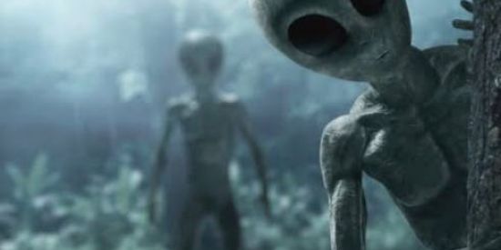 Imagem do grupo de WhatsApp Os estraterrestres 🤪👽