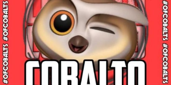 Imagem do grupo de WhatsApp Triagem cbs