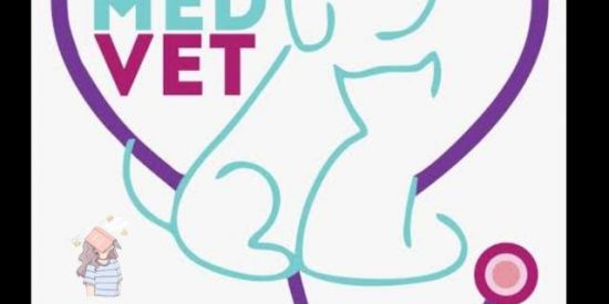 Imagem do grupo de WhatsApp MED.VET(para iniciantes,estudos)