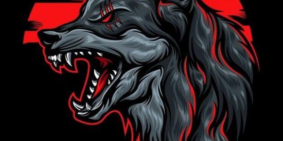 Imagem do grupo de WhatsApp GRUPO DE RECRUTAMENTO