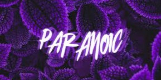 Imagem do grupo de WhatsApp CAMP DUO