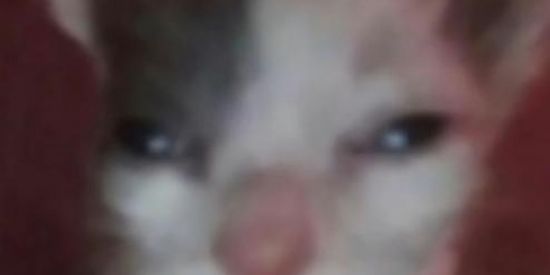 Imagem do grupo de WhatsApp Grupo de manicreft 1.19