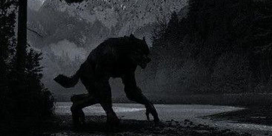 Imagem do grupo de WhatsApp Lobisomens