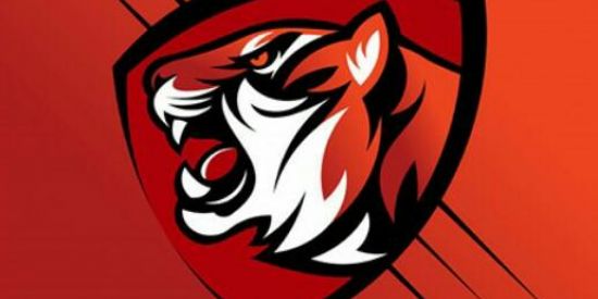 Imagem do grupo de WhatsApp Guilda Elfas – ELF