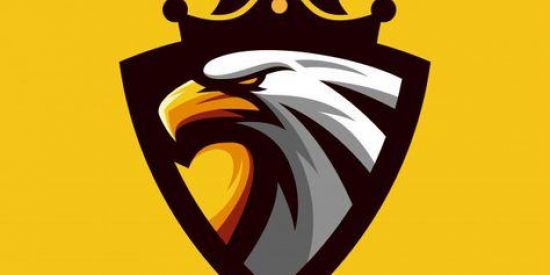 Imagem do grupo de WhatsApp Guilda - 75 Gaming !