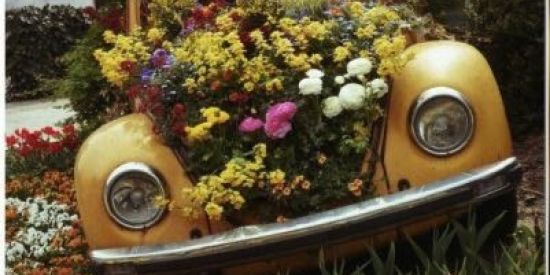 Imagem do grupo de WhatsApp Crianças de 10 anos 🍄