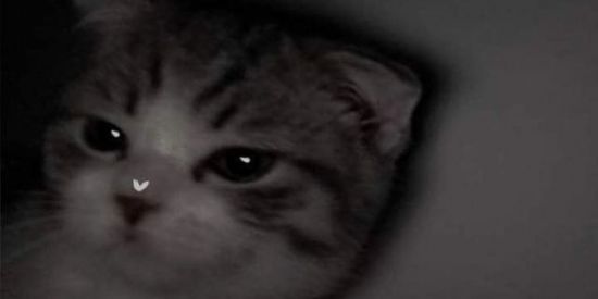 Imagem do grupo de WhatsApp 𝐥𝐨𝐯𝐬𝐨𝐧𝐠