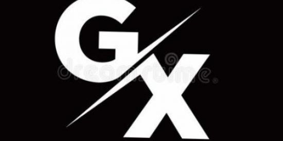 Imagem do grupo de WhatsApp GX VENDAS 3.0👑