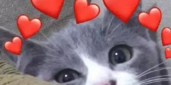 Imagem do grupo de WhatsApp los monstruos⍨