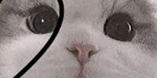 Imagem do grupo de WhatsApp ✨glow up ✨