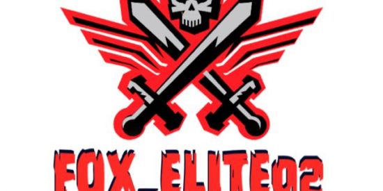 Imagem do grupo de WhatsApp FOX_ELITE (teste)