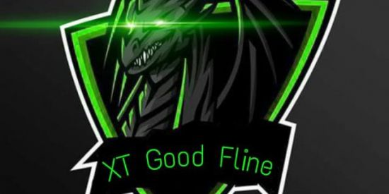 Imagem do grupo de WhatsApp XT_GOOD-FLINE