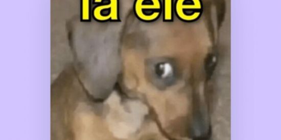 Imagem do grupo de WhatsApp ✪✯"Bagunça dos manos (as)"✯✪😏✌🏼🍀