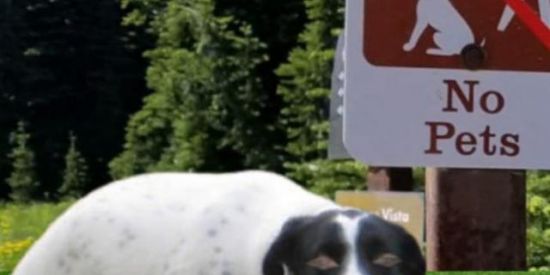 Imagem do grupo de WhatsApp Namoro de. 12 a 17 y seis q sabe Kkkk