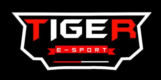 Imagem do grupo de WhatsApp 𝙏𝙄𝙂𝙀𝙍 𝙀-𝙎𝙋𝙊𝙍𝙏 🦁