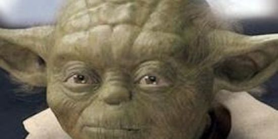 Imagem do grupo de WhatsApp Os Sobreviventes