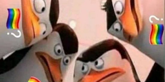 Imagem do grupo de WhatsApp Y A G S 🏳️‍🌈