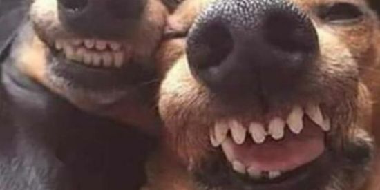 Imagem do grupo de WhatsApp Adolescentes de Caieiras SP