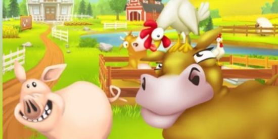 Imagem do grupo de WhatsApp 🌼Hay Day🌼