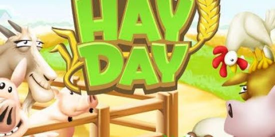 Imagem do grupo de WhatsApp Hay Day Day