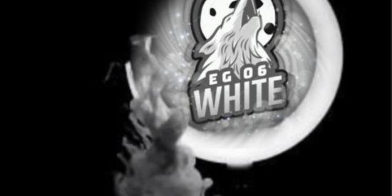 Imagem do grupo de WhatsApp [🤍] TRIAGEM DE ADM